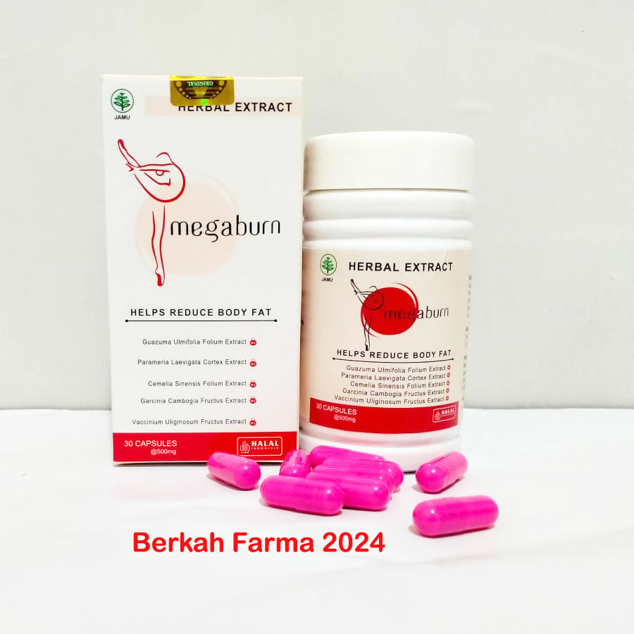 Megaburn
