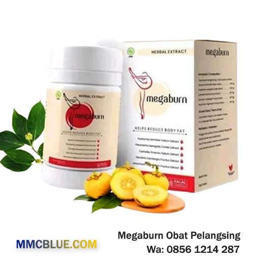 Jual Megaburn Obat Diet Pelangsing Herbal