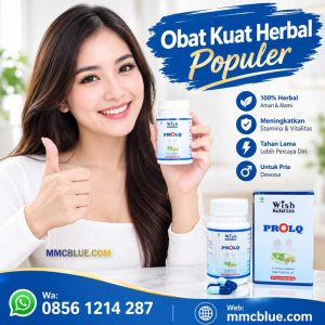 Jual Obat Kuat Pria Herbal Prolq