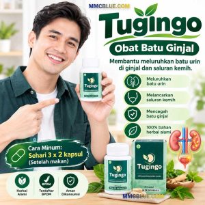 harga tugingo obat batu ginjal herbal